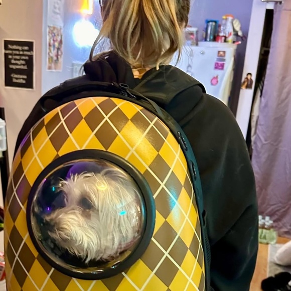 Hardshell Argyle backpack - officially licensed - Picture 6 of 15